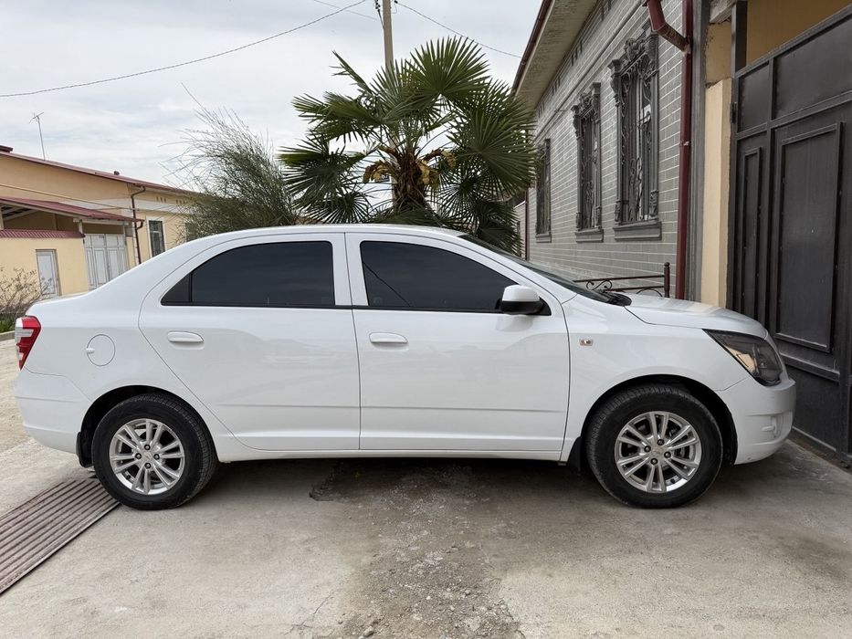 Краскаси тозза.                    .