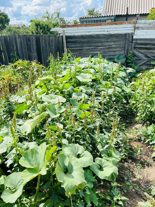 Продам дачу на Темерязева г Степногорск