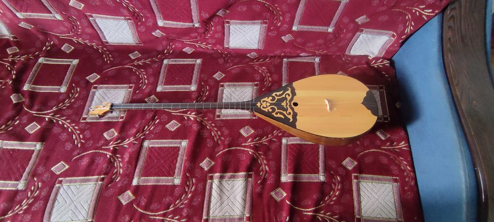 Домбыра чехолмен.