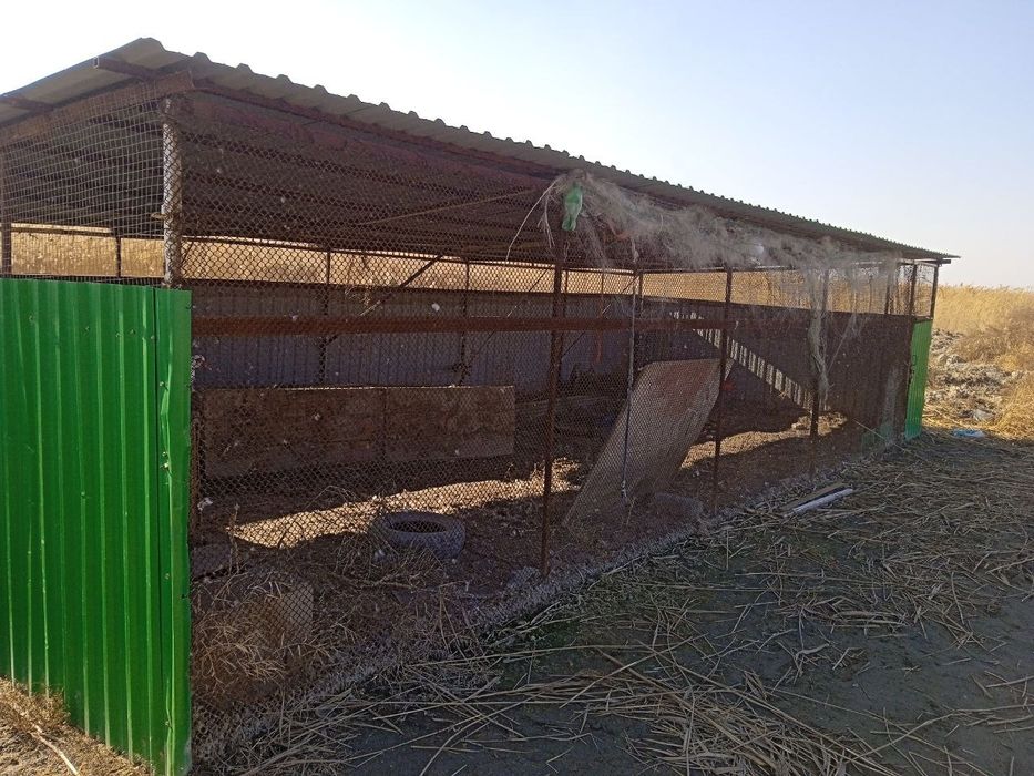 Баликхона сотилади