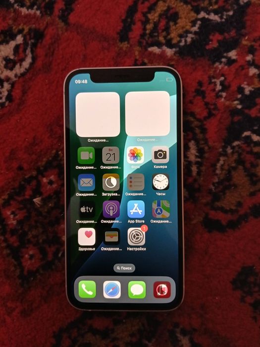 IPhone 12 mini ideal