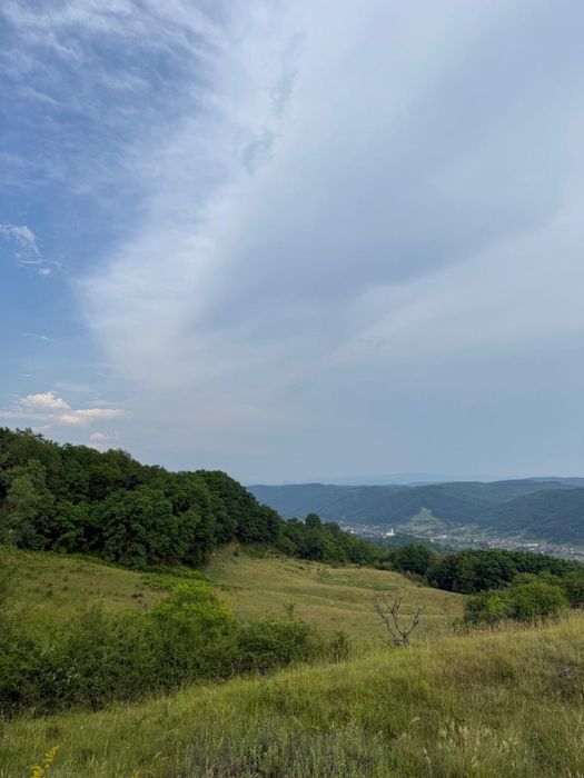 Teren cu livada si casa