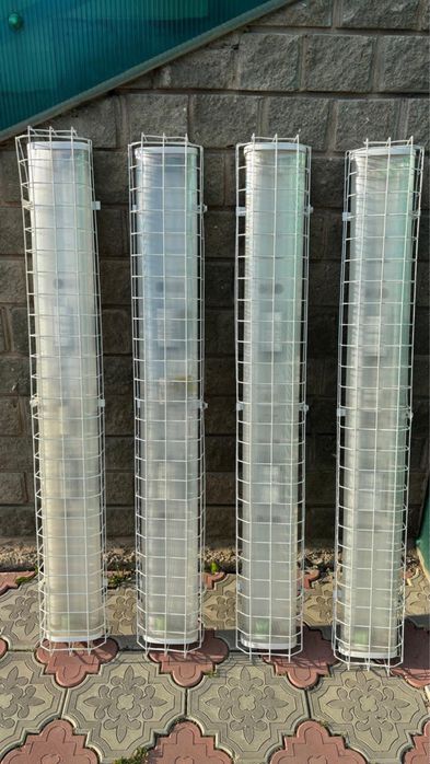 Лампы белые 4шт