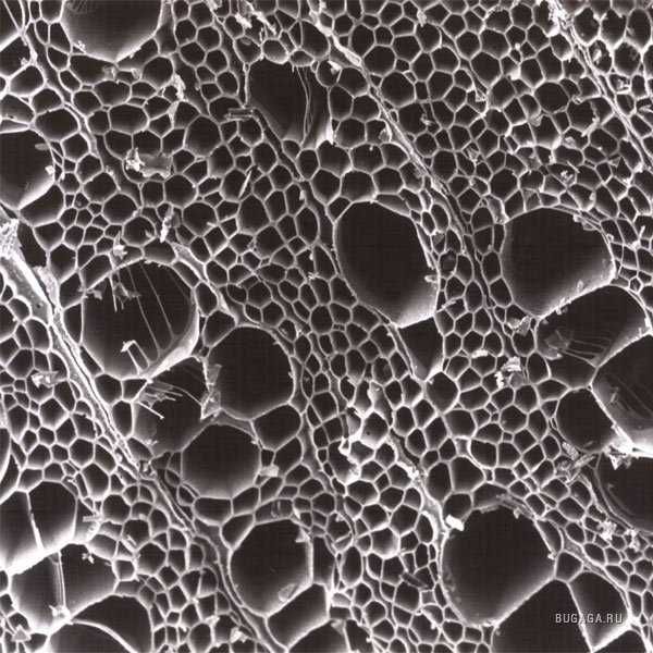 Продам  биологический  микроскоп МБУ-4