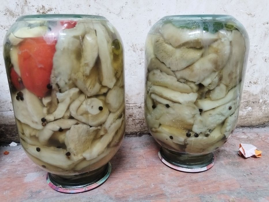 Маринованные грузди