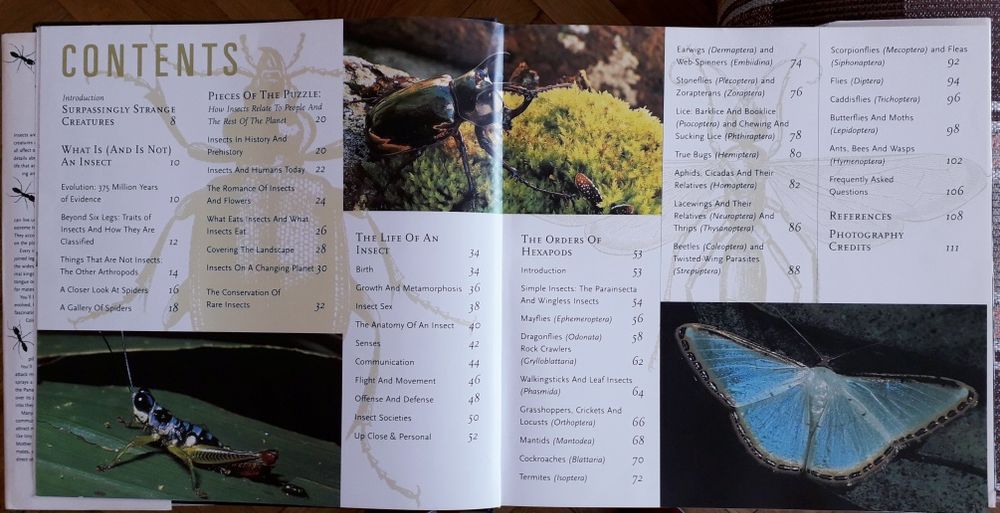 Album "Insecte", in limba engleza. Publicat in SUA