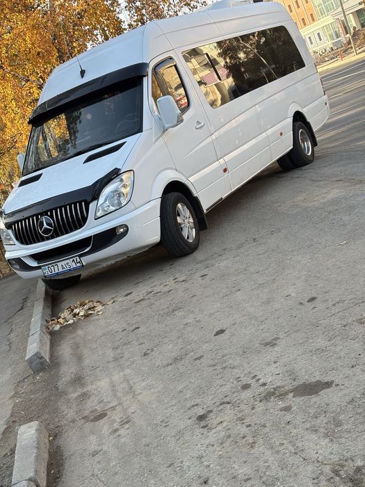 Пассажирские перевозки