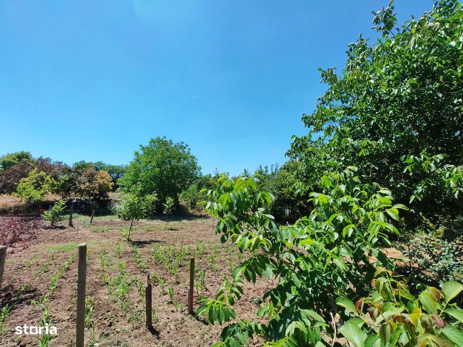 Comision0%-AlmanImobiliare-Oportunitate-TerenIntravilan-ValuLuiTraian