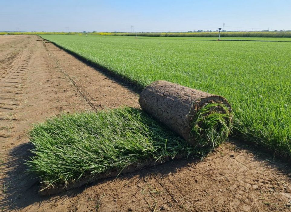 Green delux noi suntem solutia ta