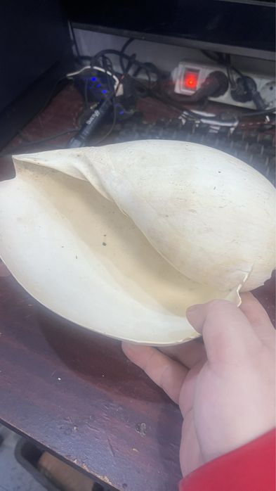 Лава  и каряга ррро