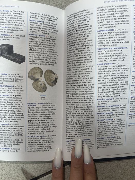 Vand tot setul de dictionare de limba romana /12