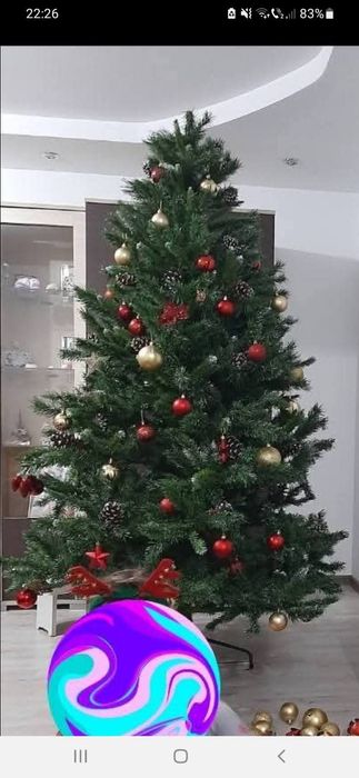 Brad Craciun 2.20 des si bogat