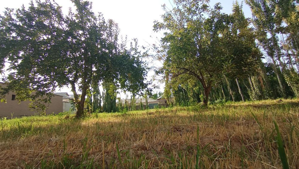 Xosildor YER 15 Sotix _ Suv , Gaz, Elektr tarmog'i doimiy mavjud!