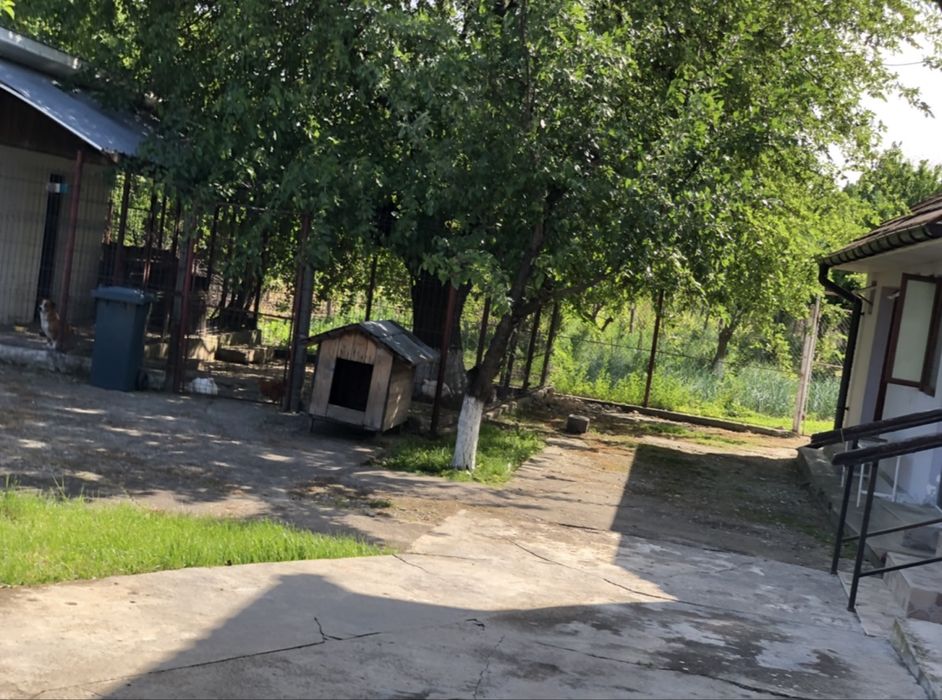 Casa de vanzare Dragasani str. Regele Ferdinand