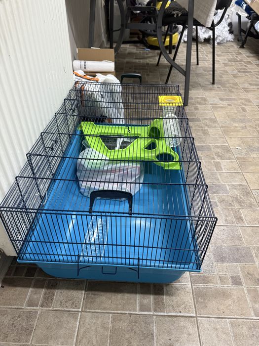 Cusca hamsteri sau iepuri