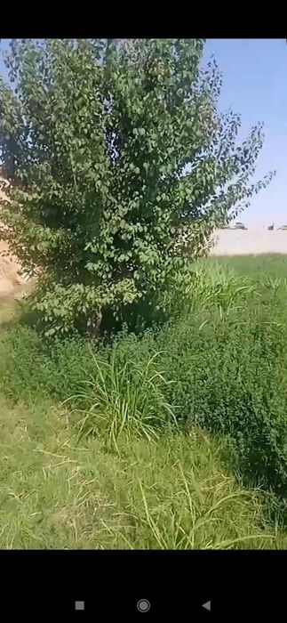 Учаска сотилади 12 сутик