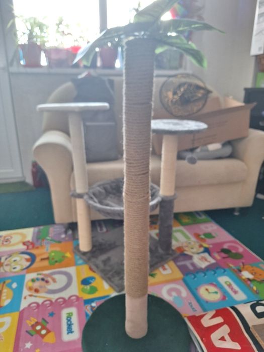 Котешка драскалка