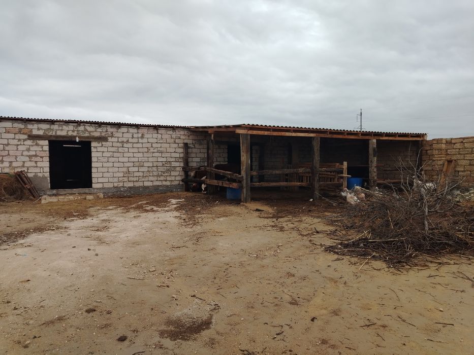 Мал шаруашылыкка  сатылады