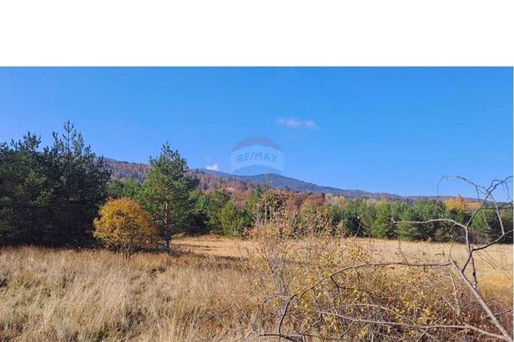 Продава се Парцел в Батак - 9309 кв.м за 2296 €/кв.м - Снимка #17