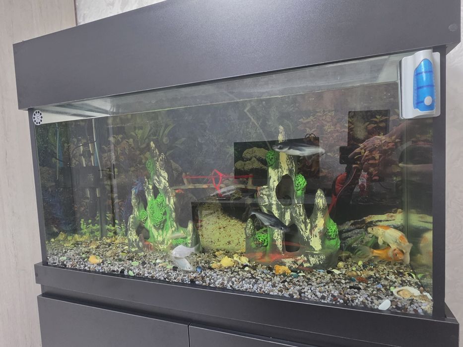 Yangi Akvarium sotiladi !