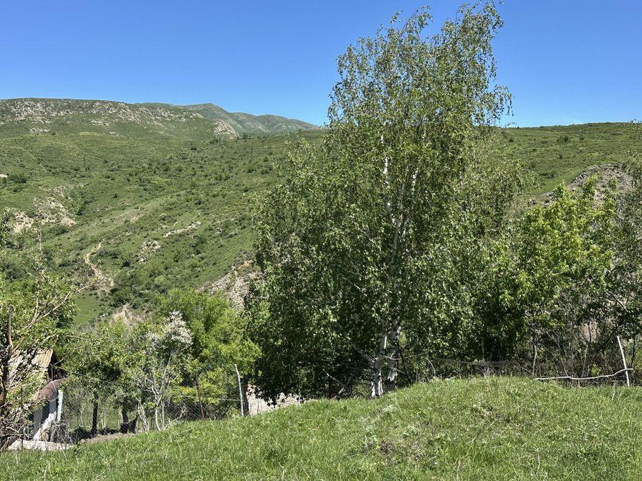 Участок, дом, сад