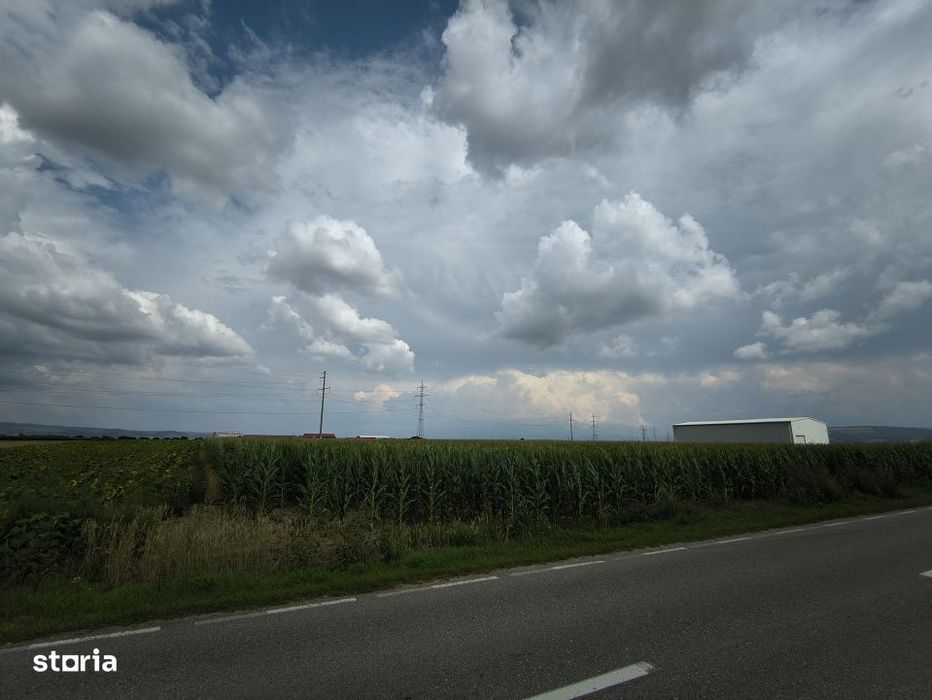 Teren industrial