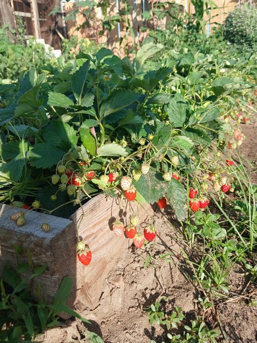 Продам жилой дом