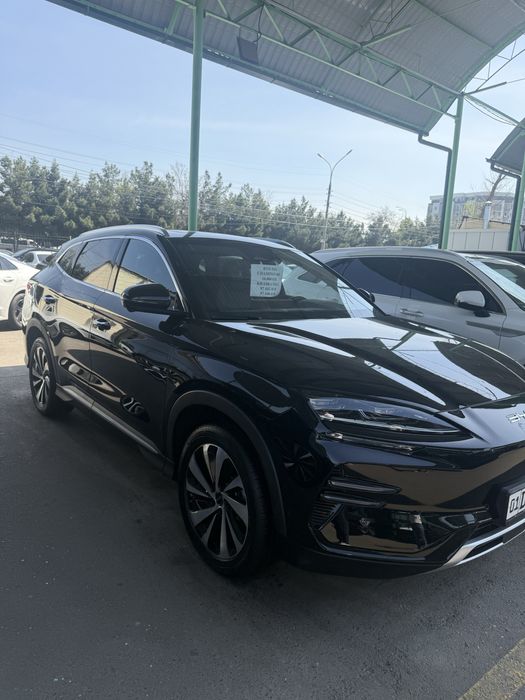 byd champion 2024 honr