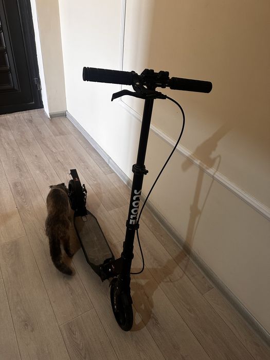 Rolik samakat holati alo 4 5 marta ishlatilgan