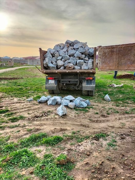 Блужник с доставкой Тас