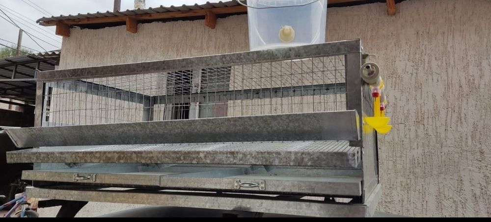 Клетка для птицы перепёлка перепел бөдене