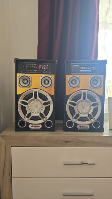 Boxe ailianc proffesional audio sistem 300W