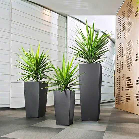 Цветочные горшки