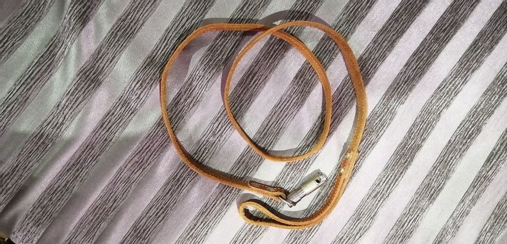 Поводок для собаки большой