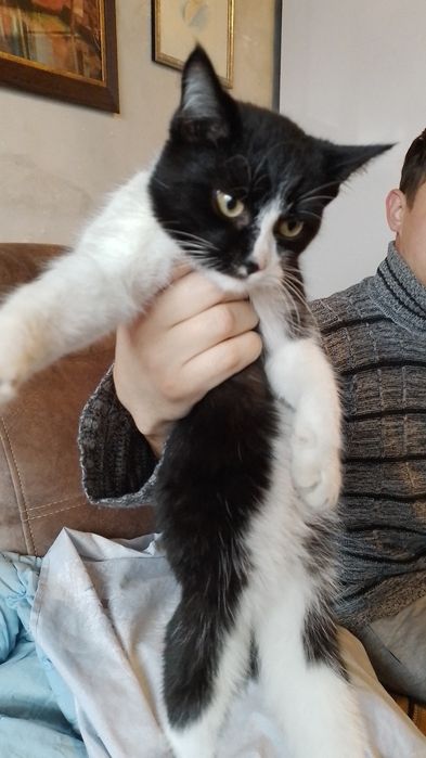 Отдам в добрые руки