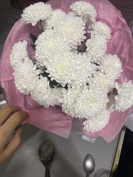 Продаются цветы   !