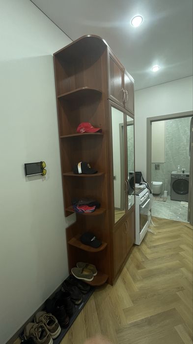 Шкаф 110/260/50 в прихожую