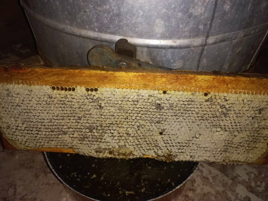 Продам мёд разнотравье