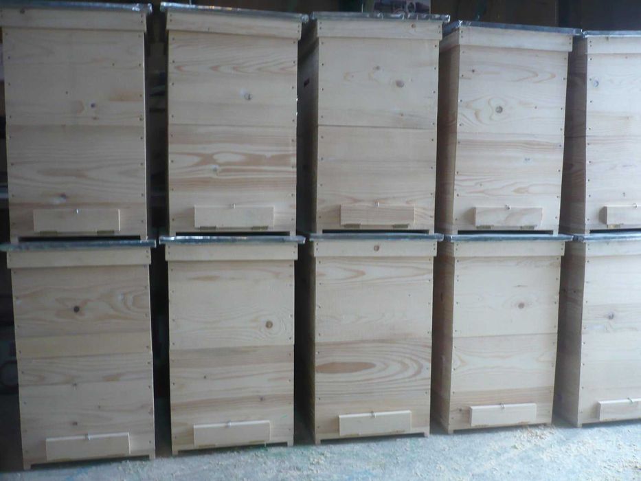 Stupi pe 12 rame 200 lei