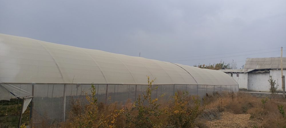Parnik kantenerdan yasalgan ANDIJONA  USLUBIDA gi ISSIQXONA