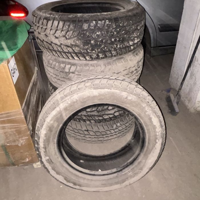 Зимние шины Nexen R16