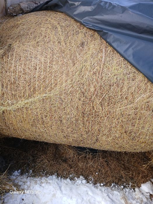 Vând balotati rotunzi de fan