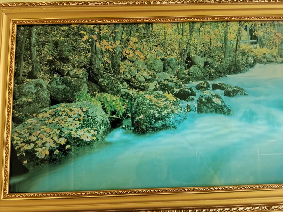 Продавам много ефектна светеща, движеща се и пееща картина