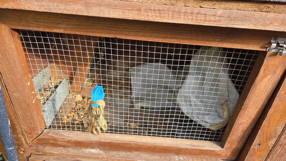 Cușcă iepuri, hamsteri, animale mici