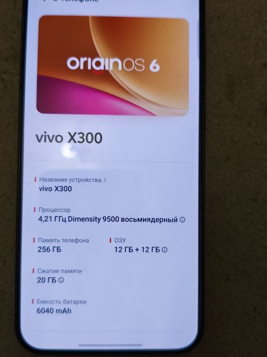 Vivo x300,256 24