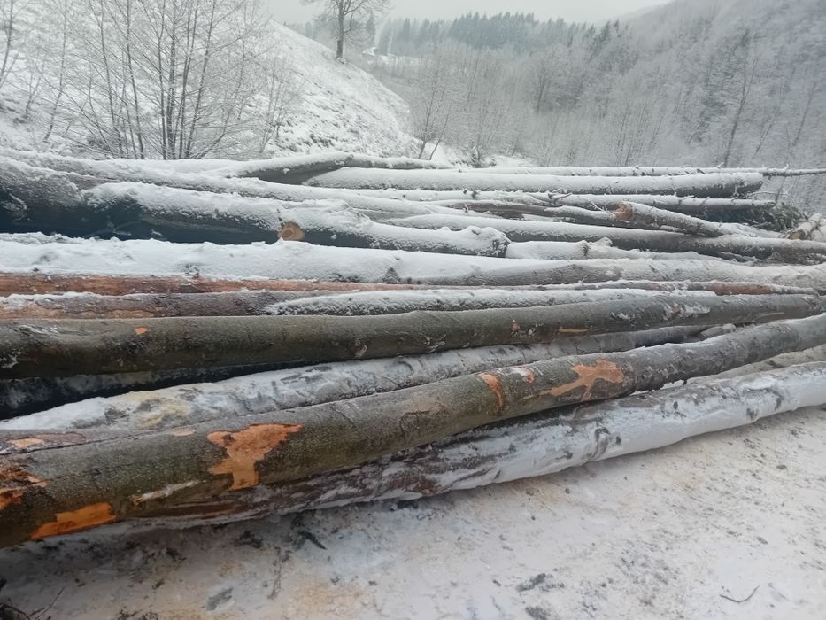 Depozit lemn de foc Nehoiu