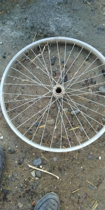 Velosiped diskasi 26