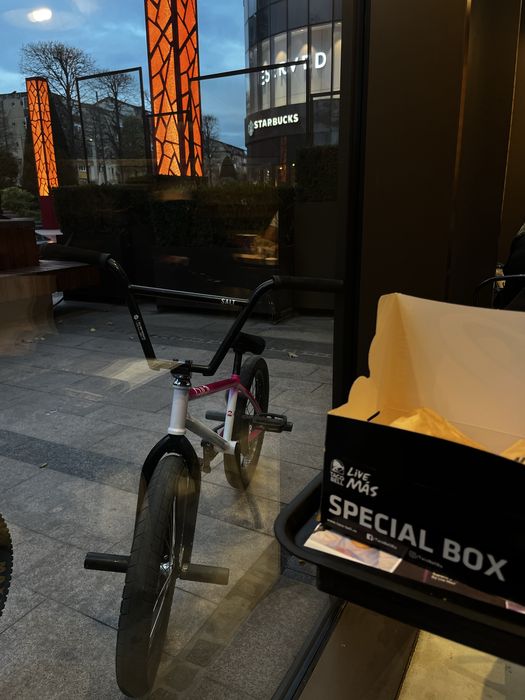 bmx cult toshortyantony panza companie cu cult