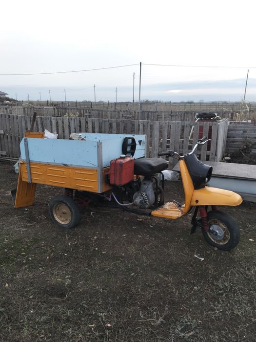 Продам муровей тула