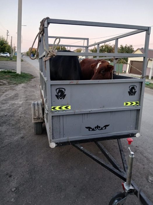 Прицеп скотовозка с доками